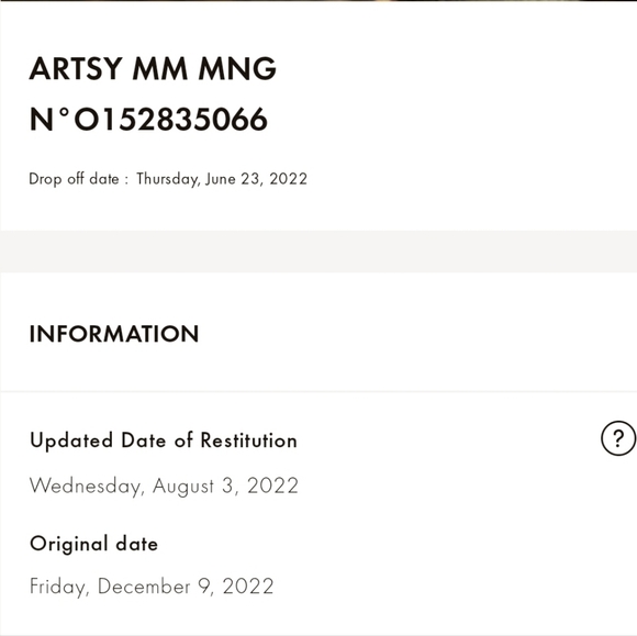 LOUIS VUITTON ARTSY MM - Picture 11 of 11